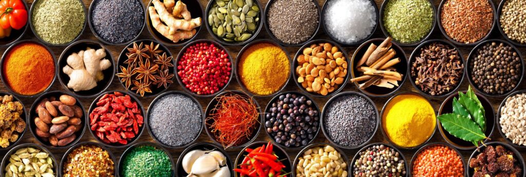 Shutterstock_1741555895-cut